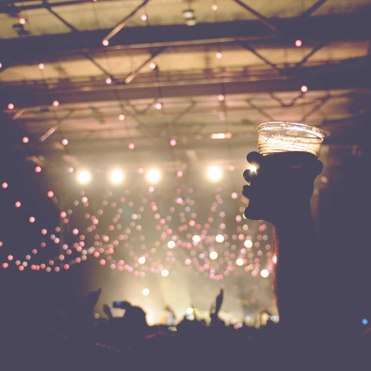 Live Music Venues and Gentlemen's Clubs 1